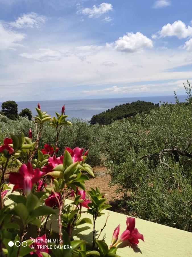 Appartamento Elia House 1 Astoning Sea View Among The Olive Trees Patitiri Esterno foto
