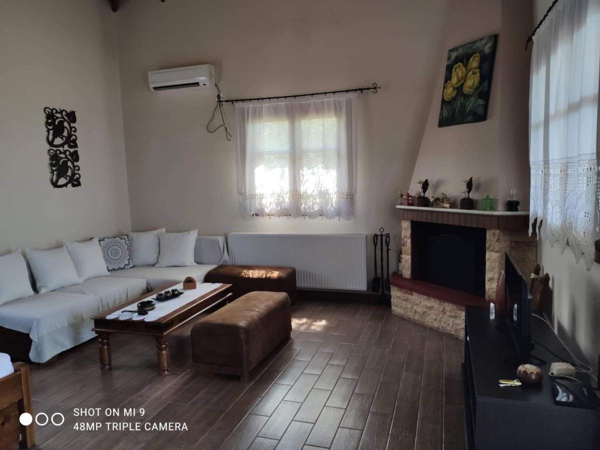 Appartamento Elia House 1 Astoning Sea View Among The Olive Trees Patitiri Esterno foto