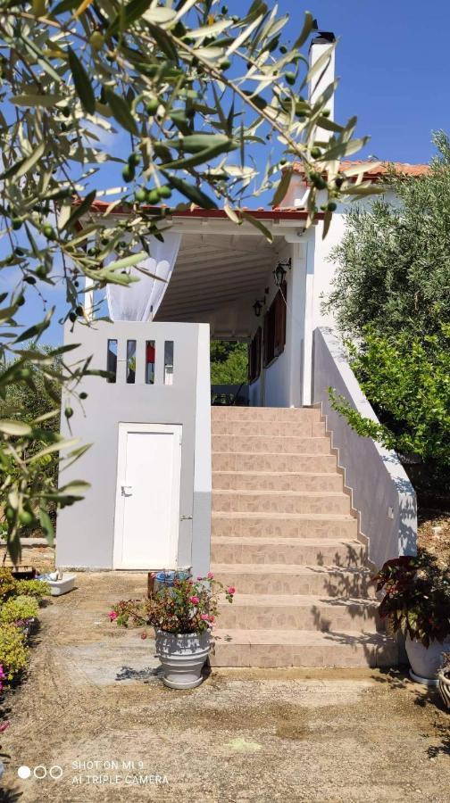 Appartamento Elia House 1 Astoning Sea View Among The Olive Trees Patitiri Esterno foto